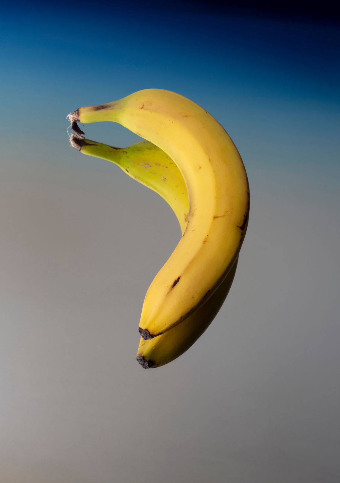 Uta Eisenreich, Time Flies Like an Arrow, Fruit Flies Like a Banana, 2021