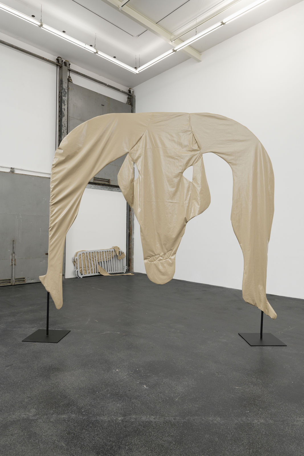 Pauline Curnier Jardin, La géante-dame, 2022