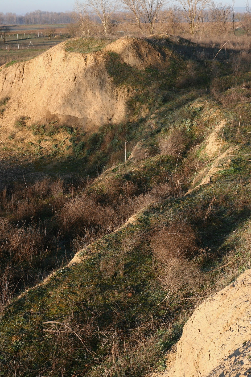 Lara Almarcegui, Descampado Pinar de Jalón, una de las graveras abandonadas de Valladolid, 2024