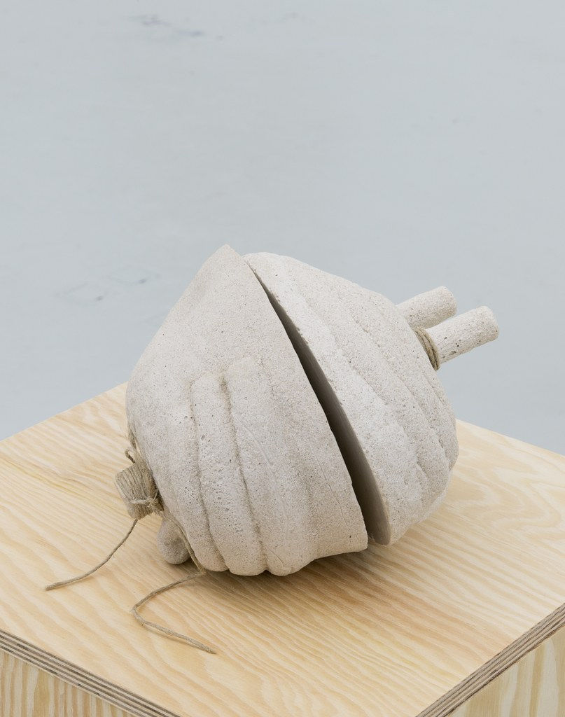 Marianne Vierø, Brush, Nut, Knot, Not, 2017