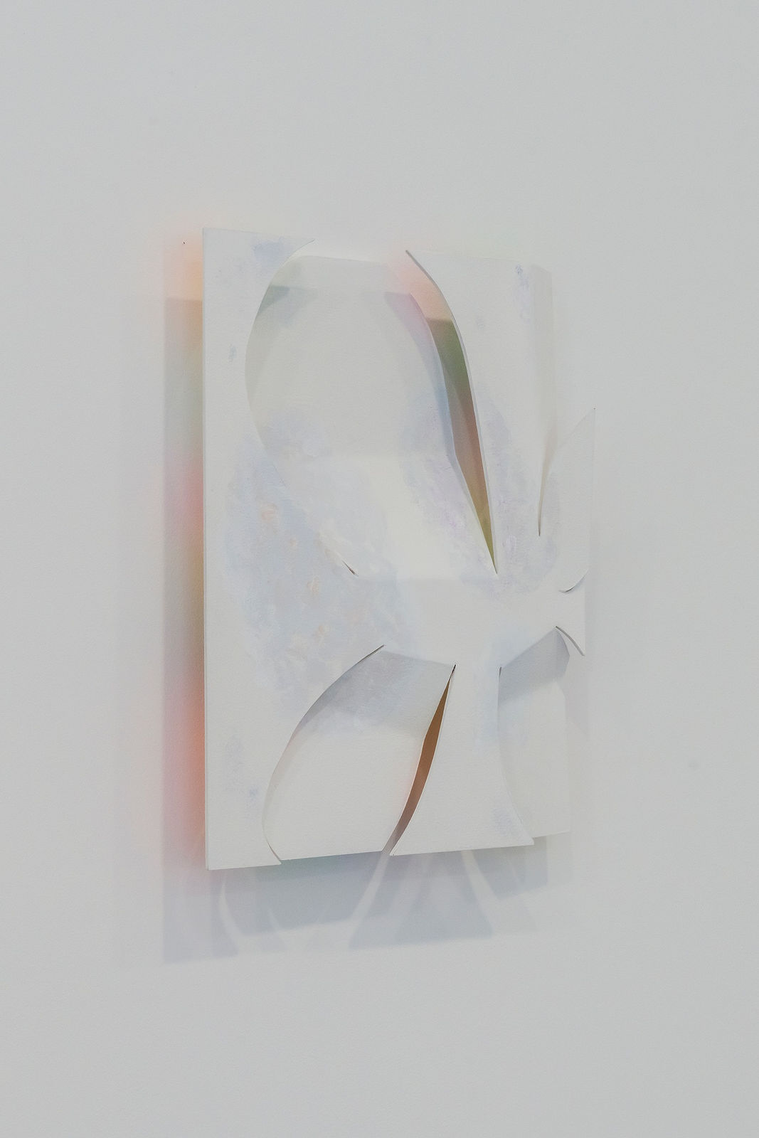 Kwantaeck Park 박관택, no blossom and ferment, 2025