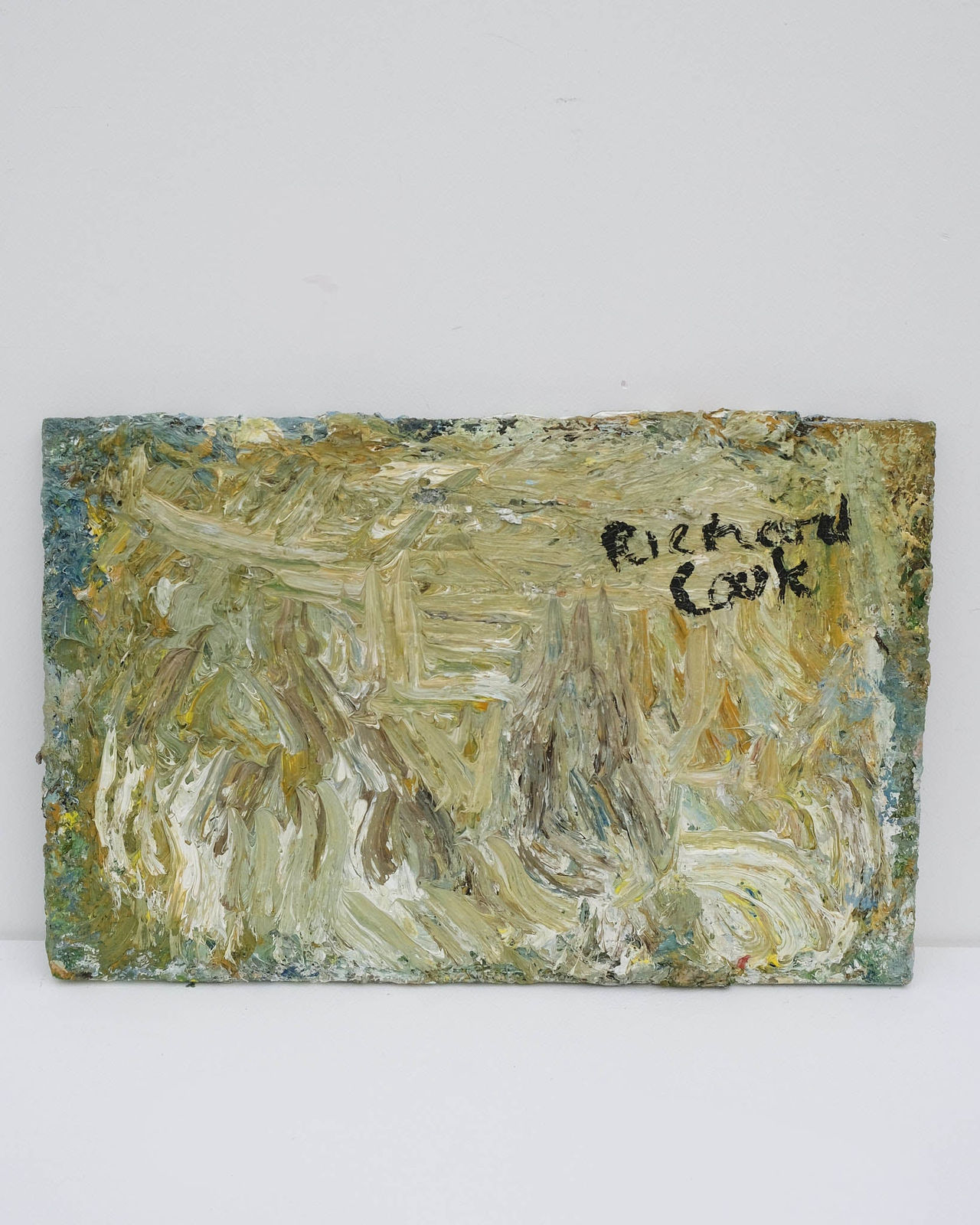 Richard Cook, Pink Headland