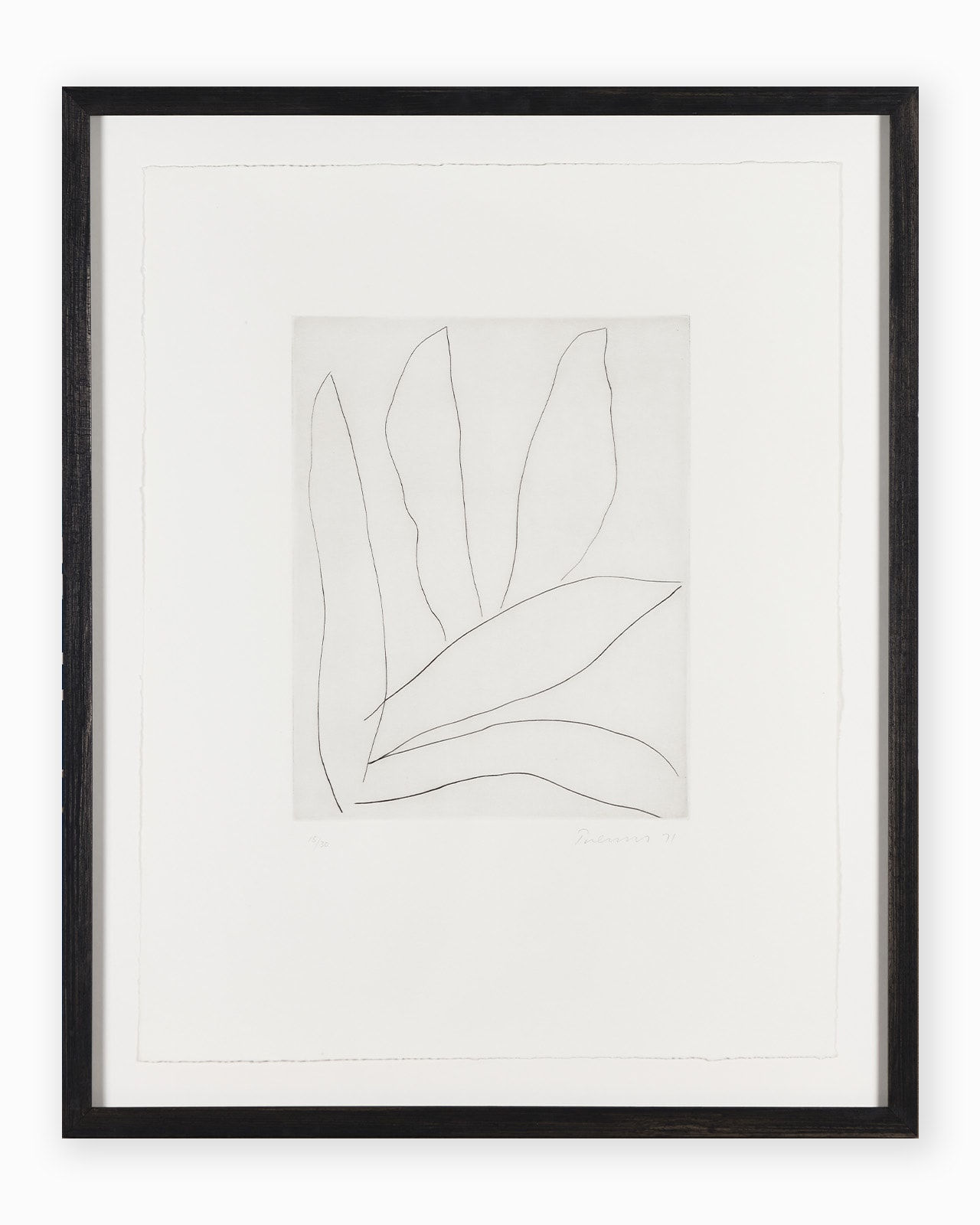 William Turnbull, Leaf 5