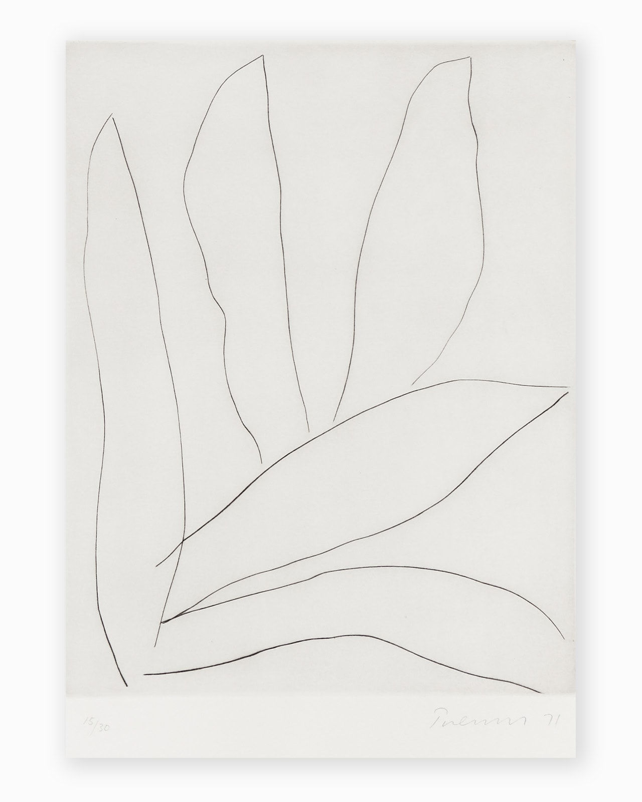 William Turnbull, Leaf 5