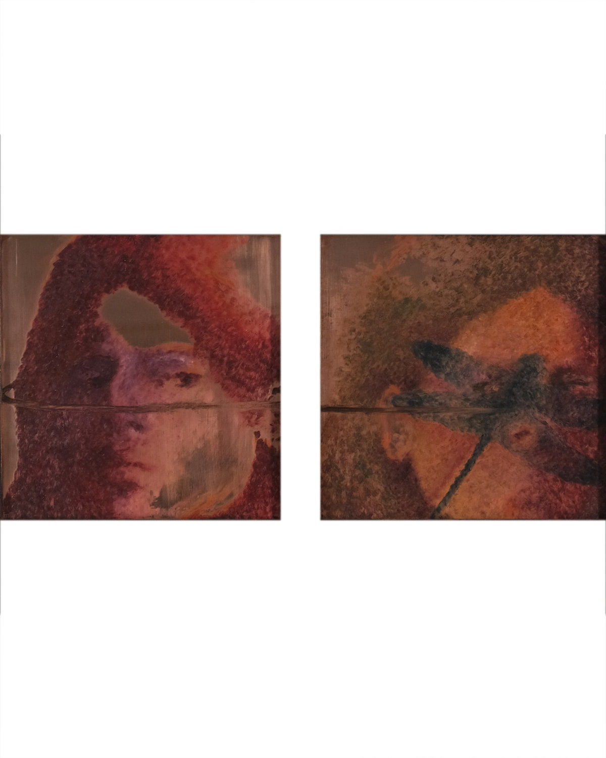 Lâl Yılmaz, Dragonfly