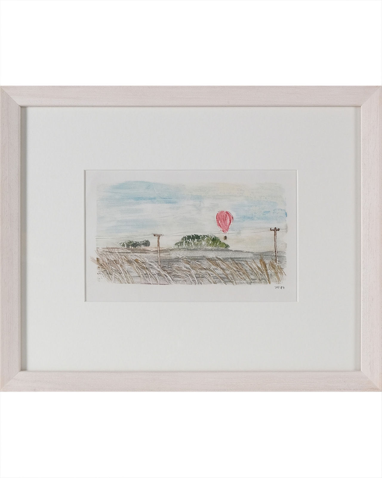 Tessa Newcomb, Hot Air Balloon