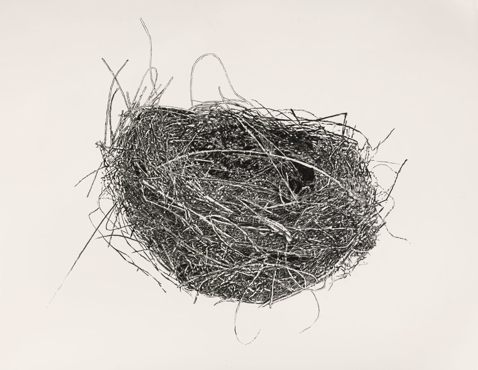Sean Healy, Egg's Nest, too, 2022