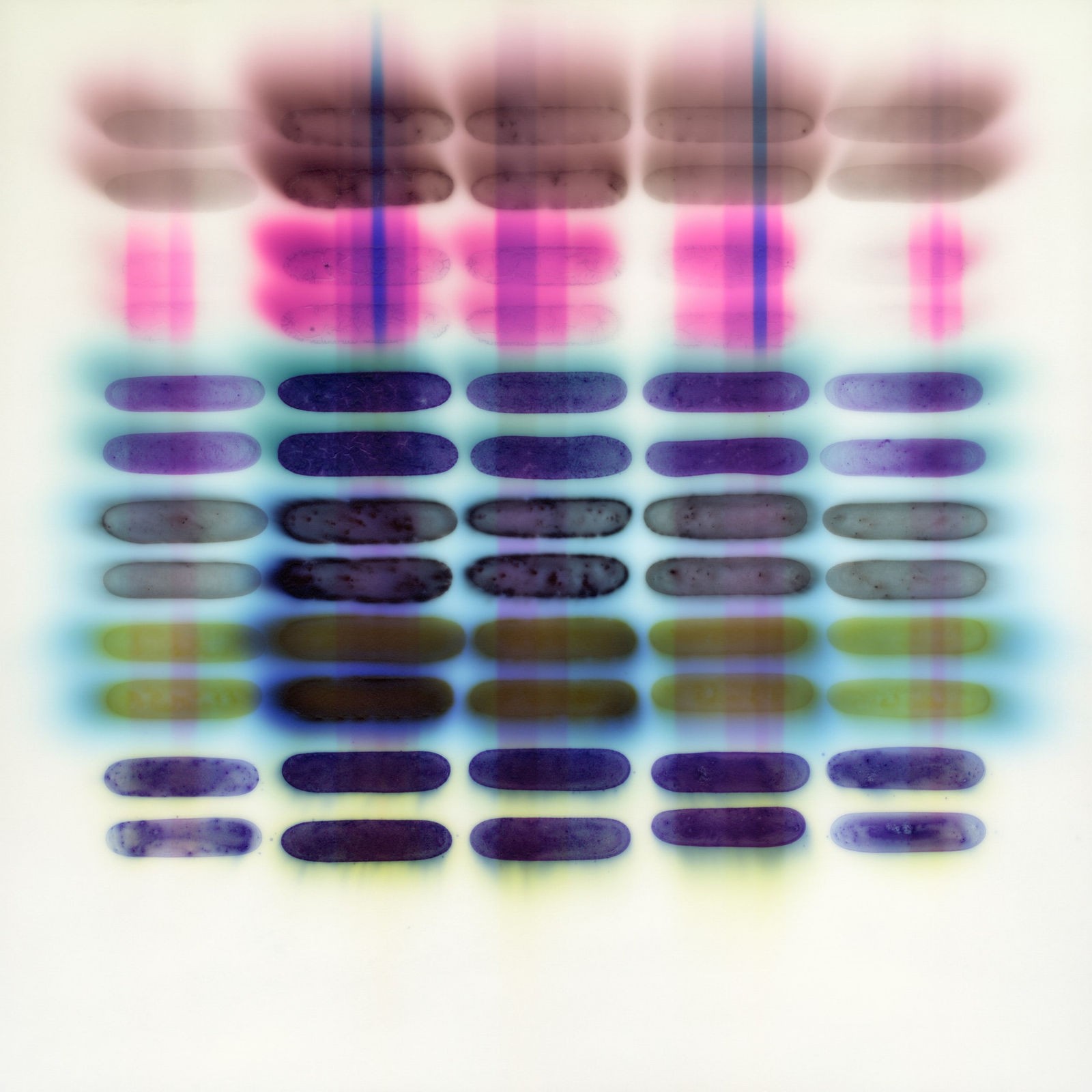 Jaq Chartier, SunTest #11 (Day 19), 2024