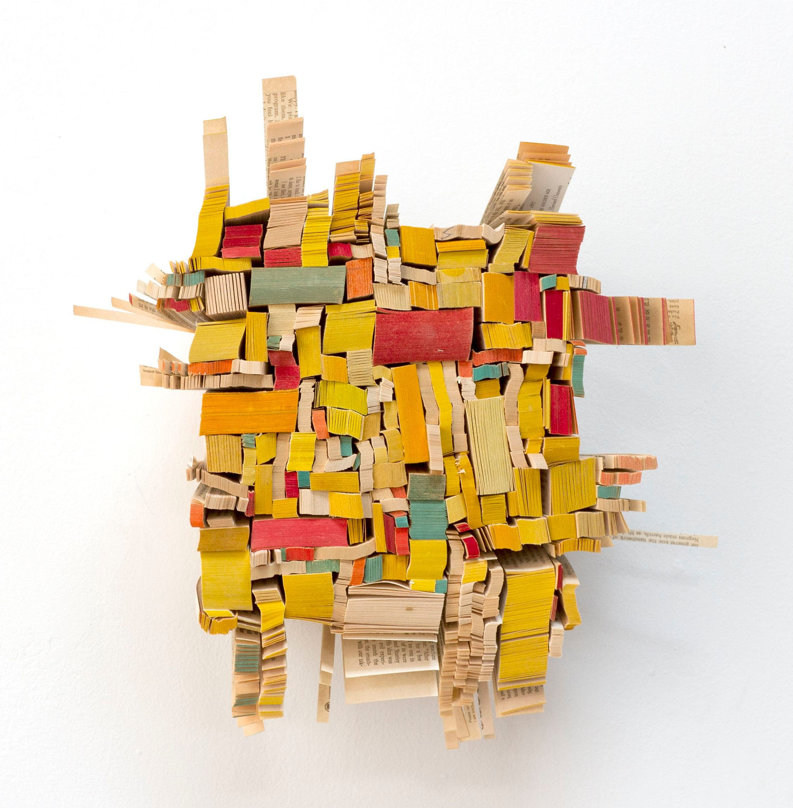 Ann Hamilton, water lilies, smooth as cream, 2014