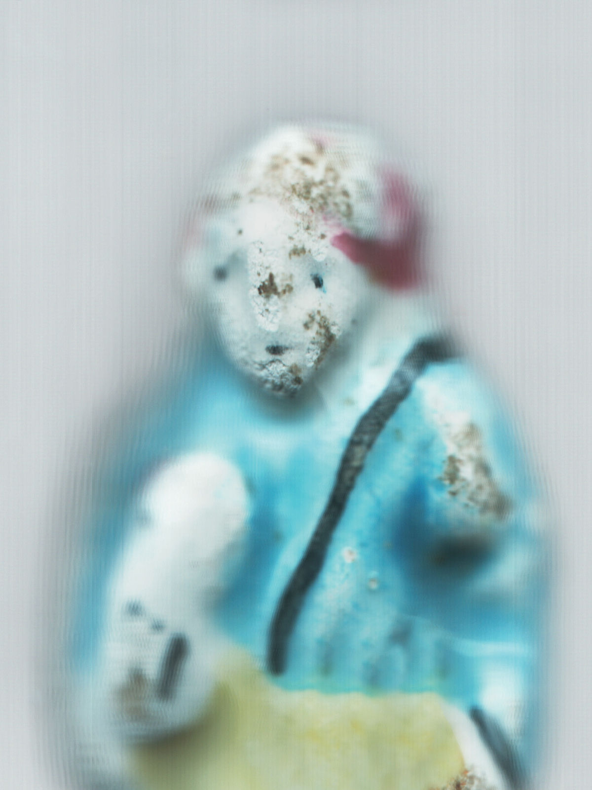 Ann Hamilton, fève 7, 2024