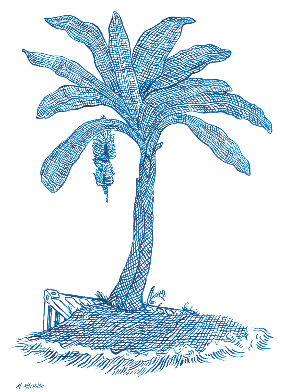 Martin Machado, Banana Tree, 2023