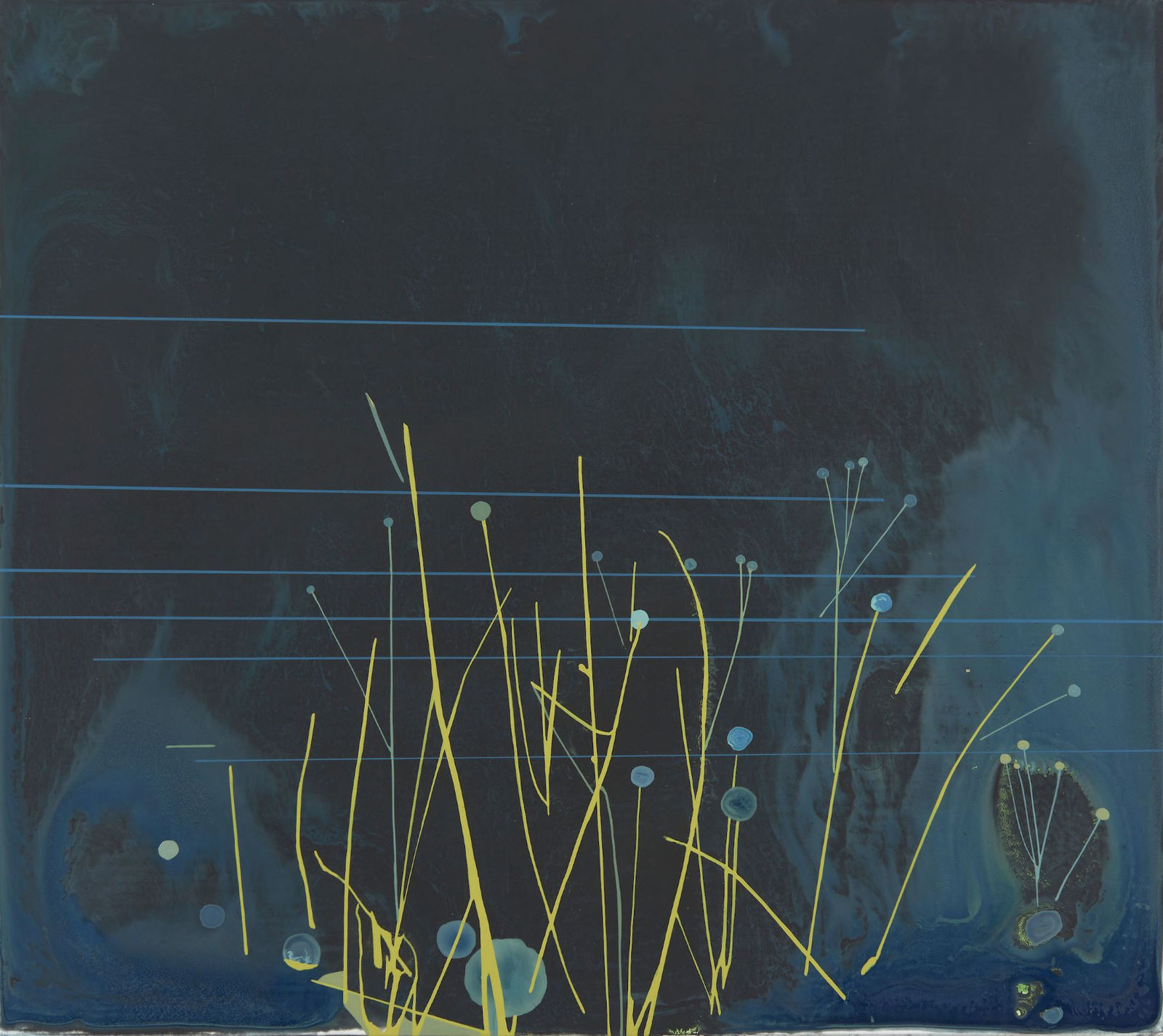 William Swanson, Elemental (Graft), 2018