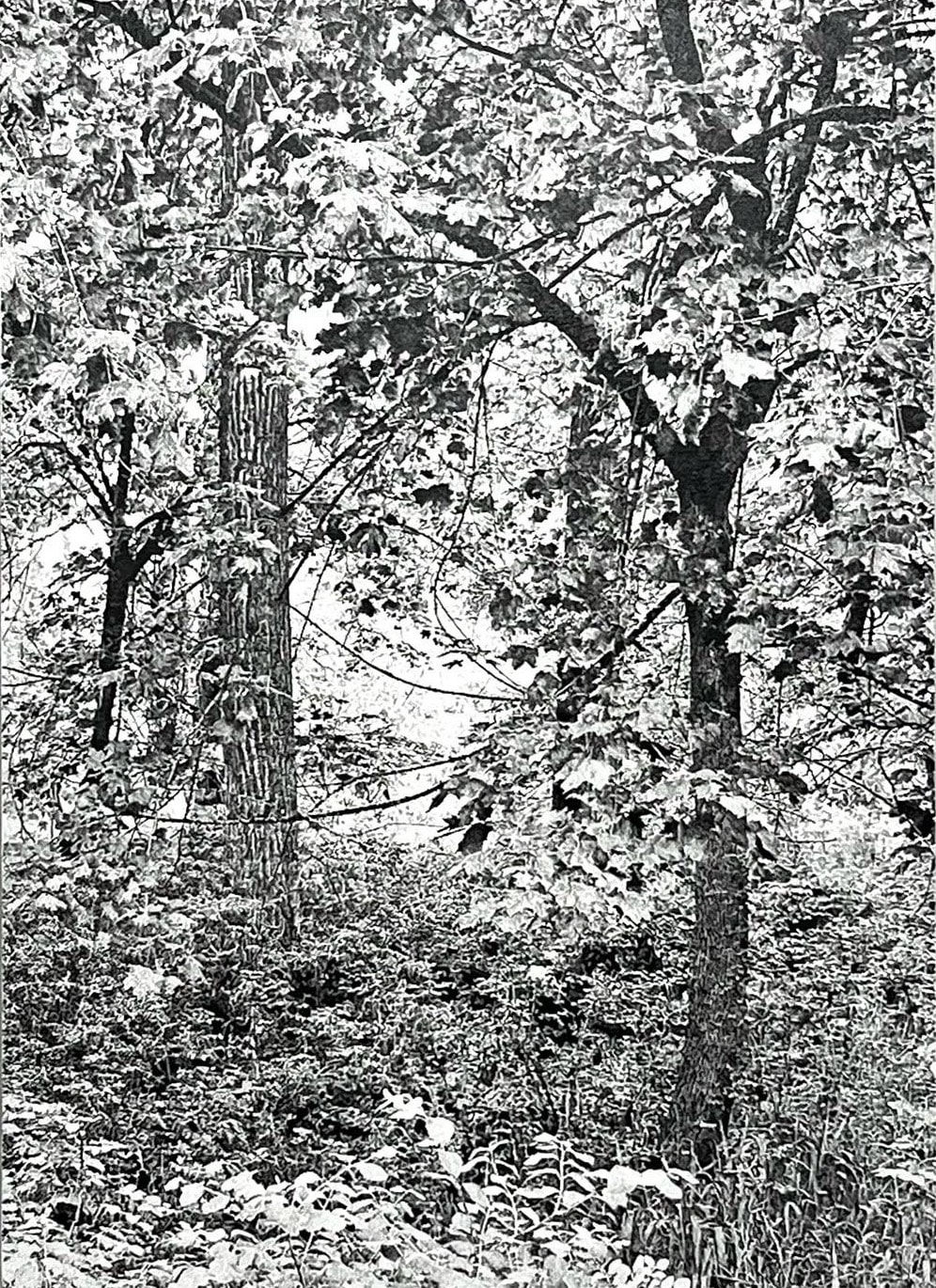 James Chronister, It Happened Forever for a Short Time, 2022