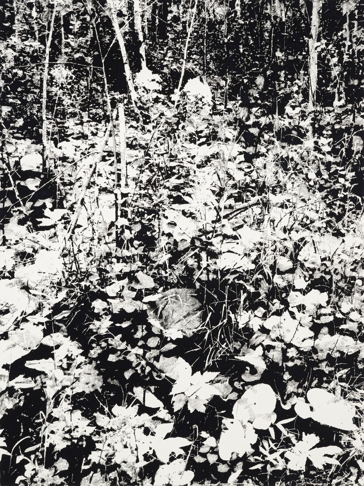 James Chronister, Deinze (1), 2018