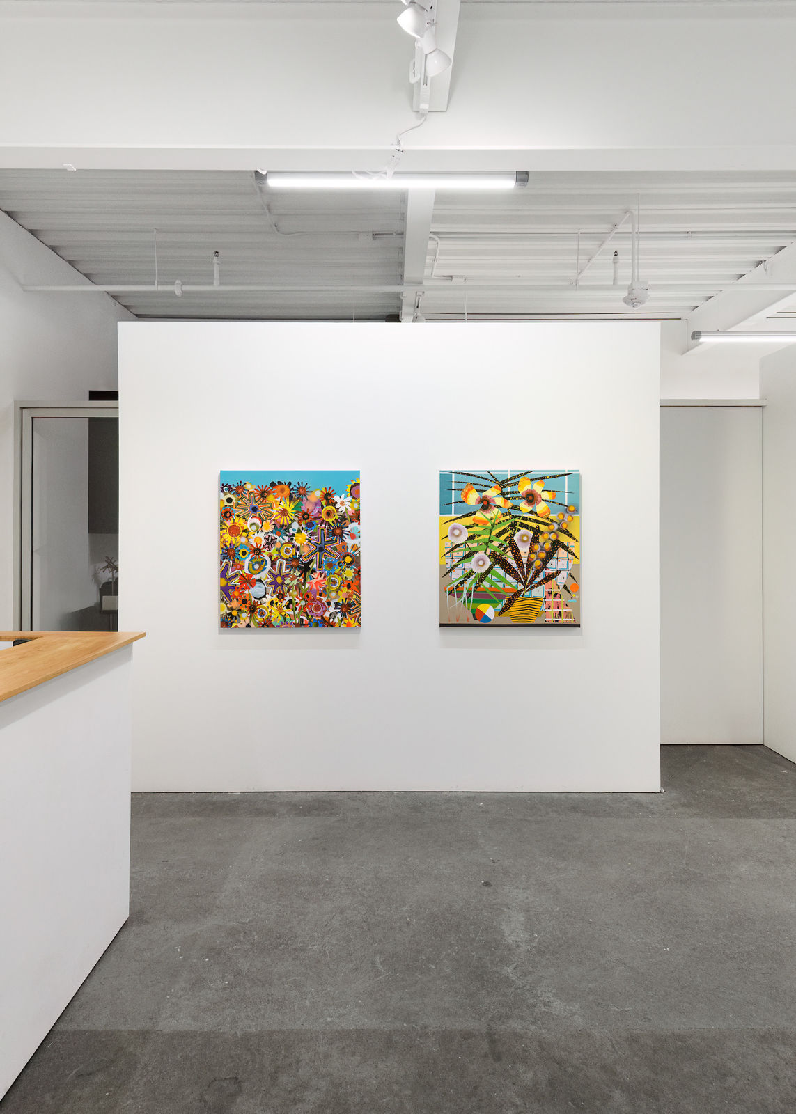 Paul Wackers, Wild Wild Flowers, 2024