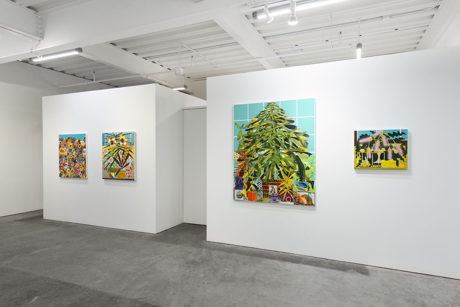 Paul Wackers, Lavender Sunshine, 2024