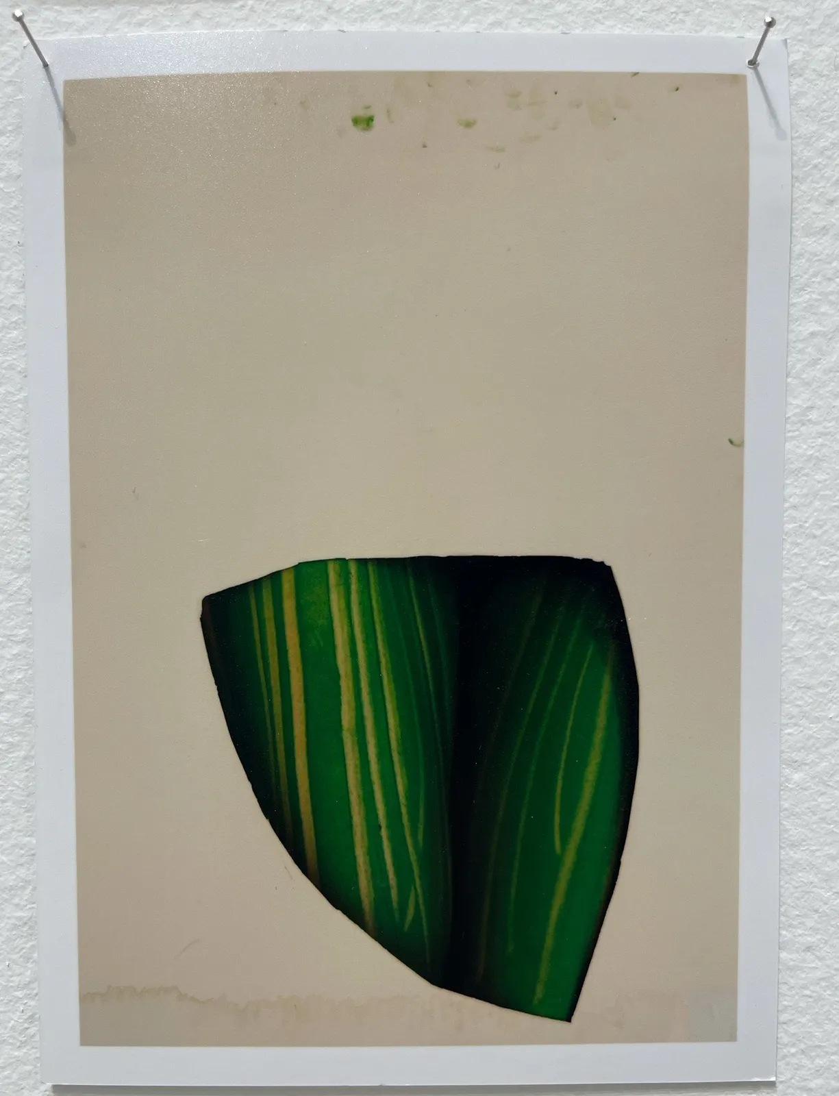 Lee Materazzi, ¢a$h&¢arry 172