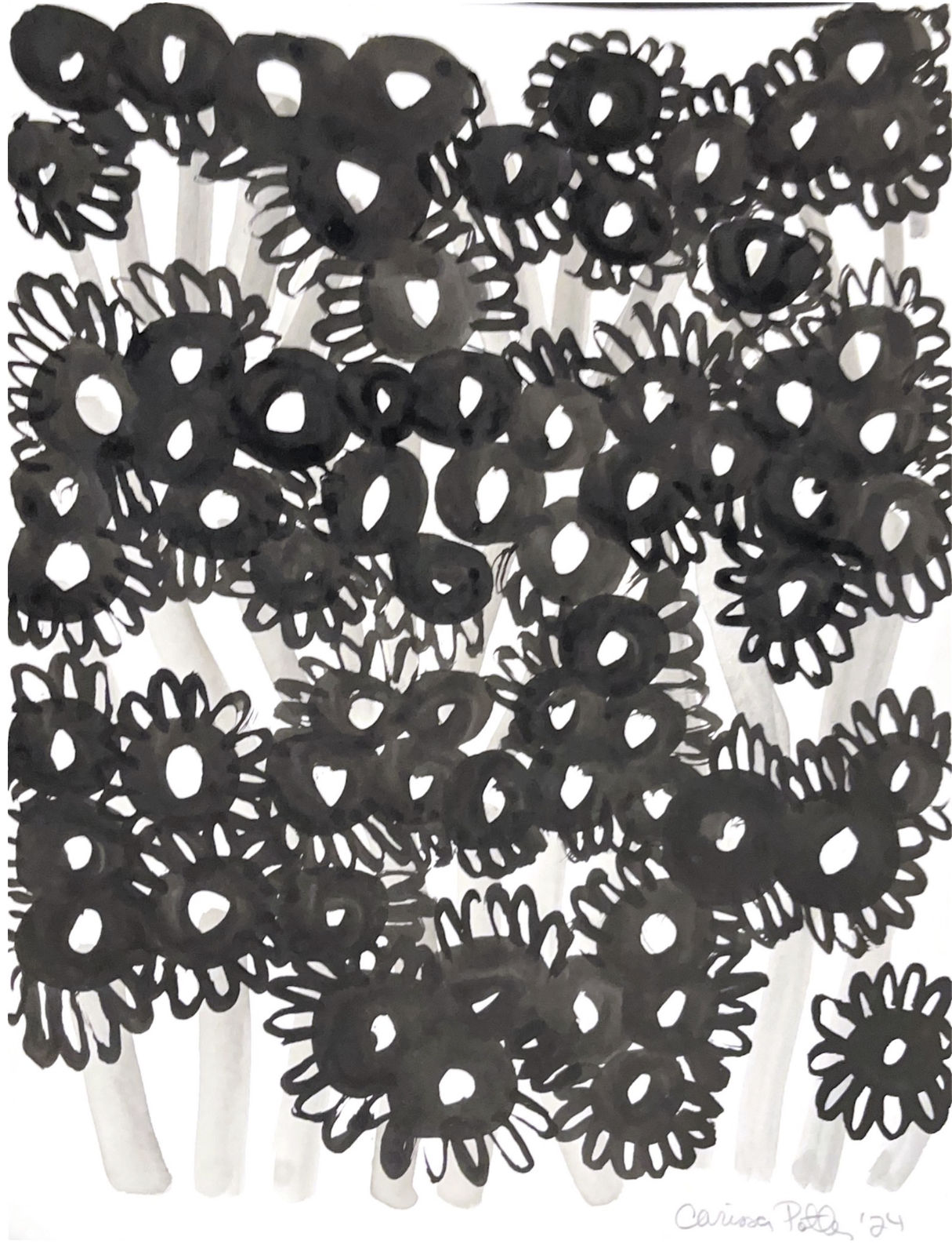 Carissa Potter, Black Eyed Susan, 2024