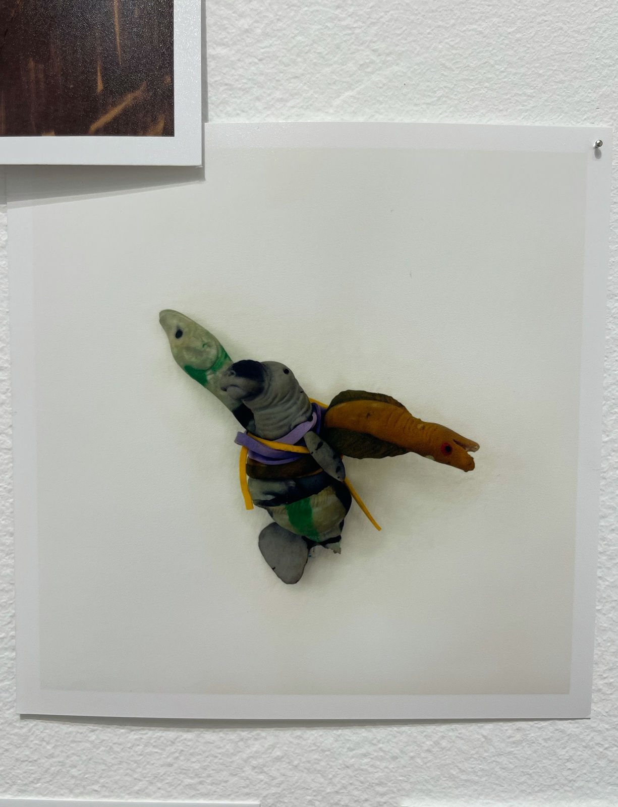 Lee Materazzi, ¢a$h&¢arry 161