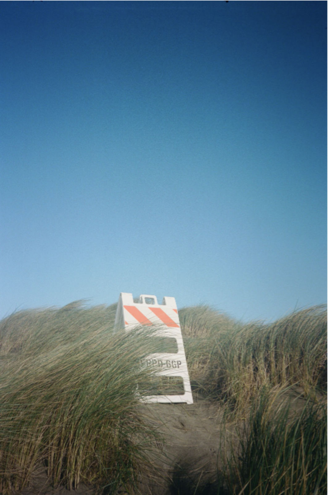 Stephen Amato-Salvatierra, Road Sign In the Dune Grass, 2022