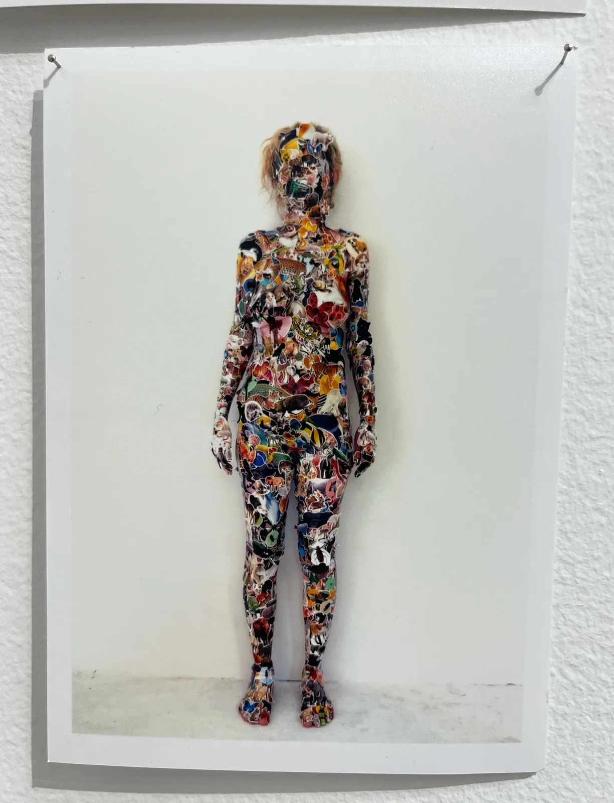 Lee Materazzi, ¢a$h&¢arry 236