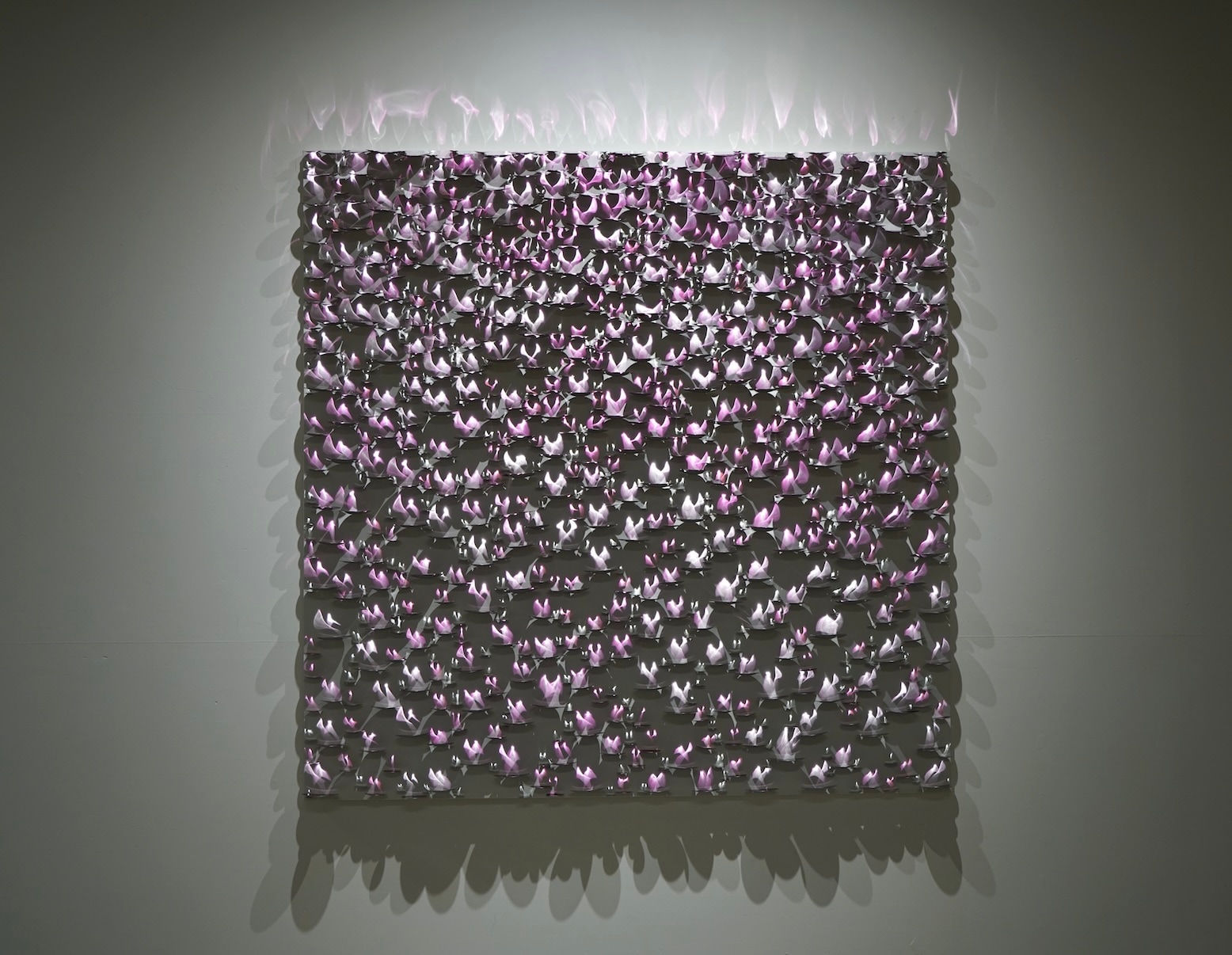 Yong R. Kwon - 權 容 來, Eternal Flame- Parma Pink, 2024