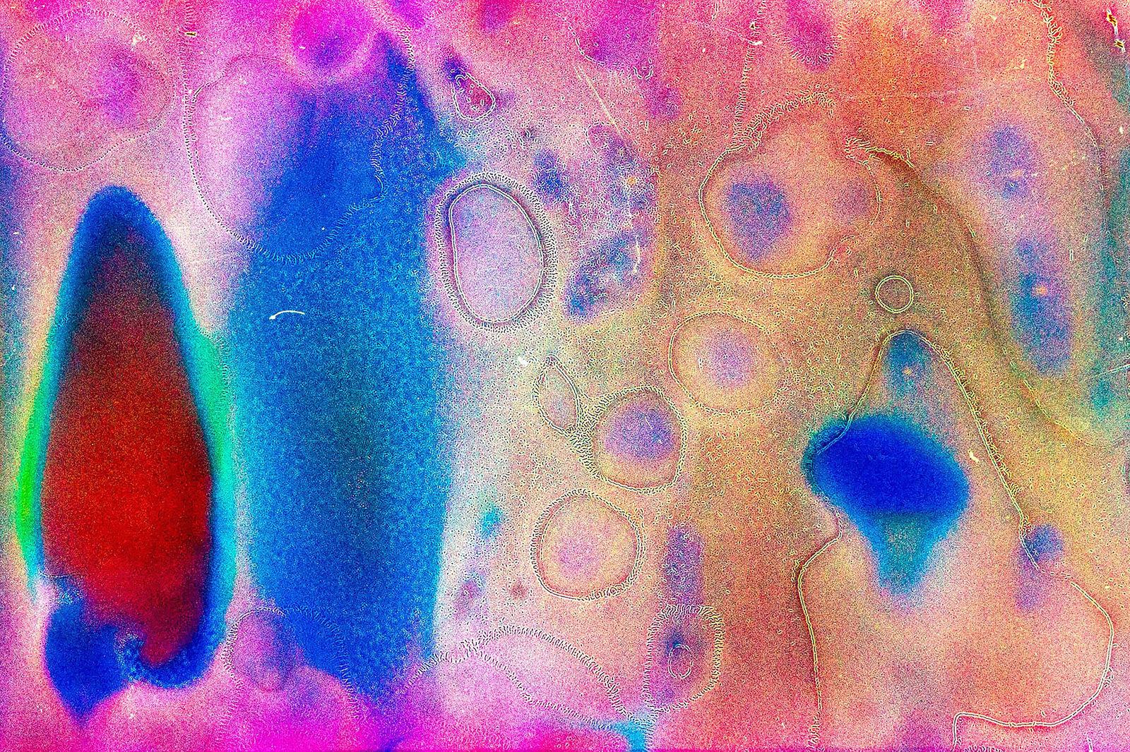 Daura Campos, Once Upon a Pink Moon (I), 2022