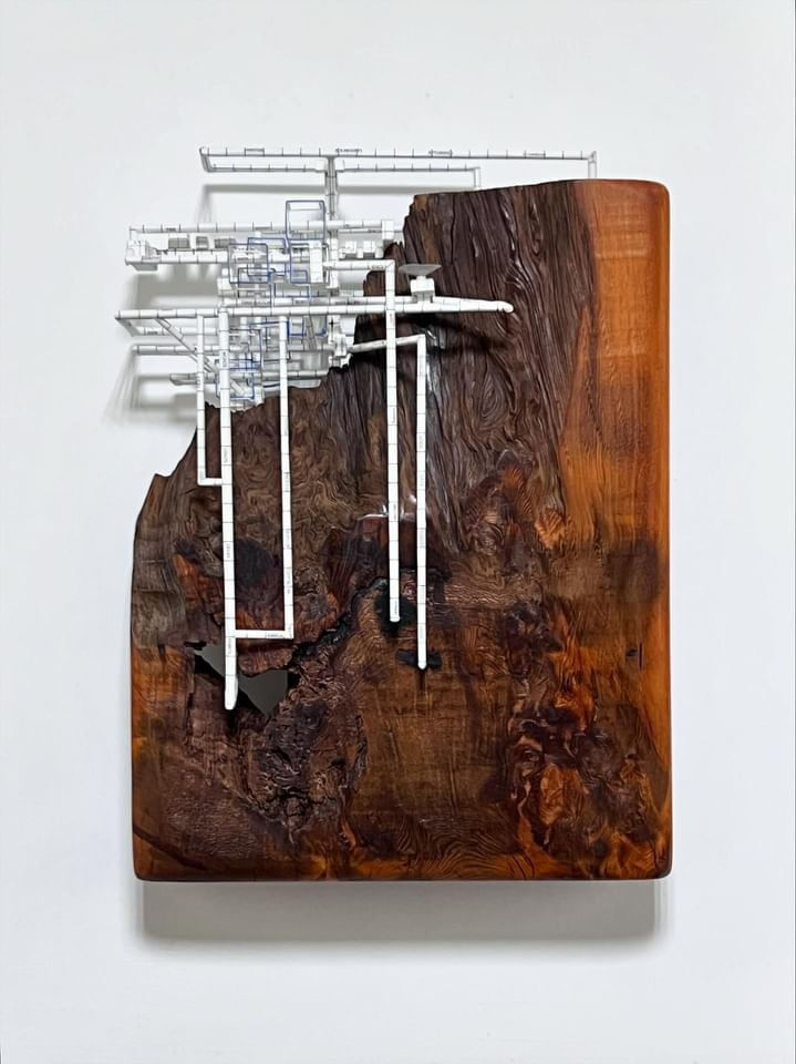 Katsumi Hayakawa, Untitled , 2024