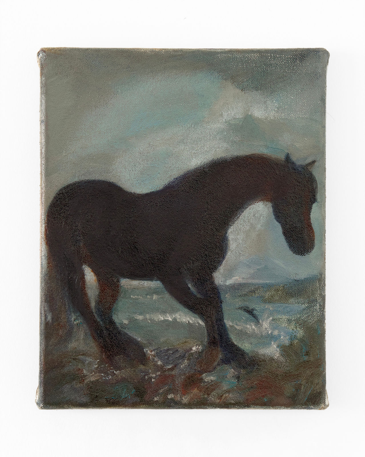 Benji Grignon, dolphin