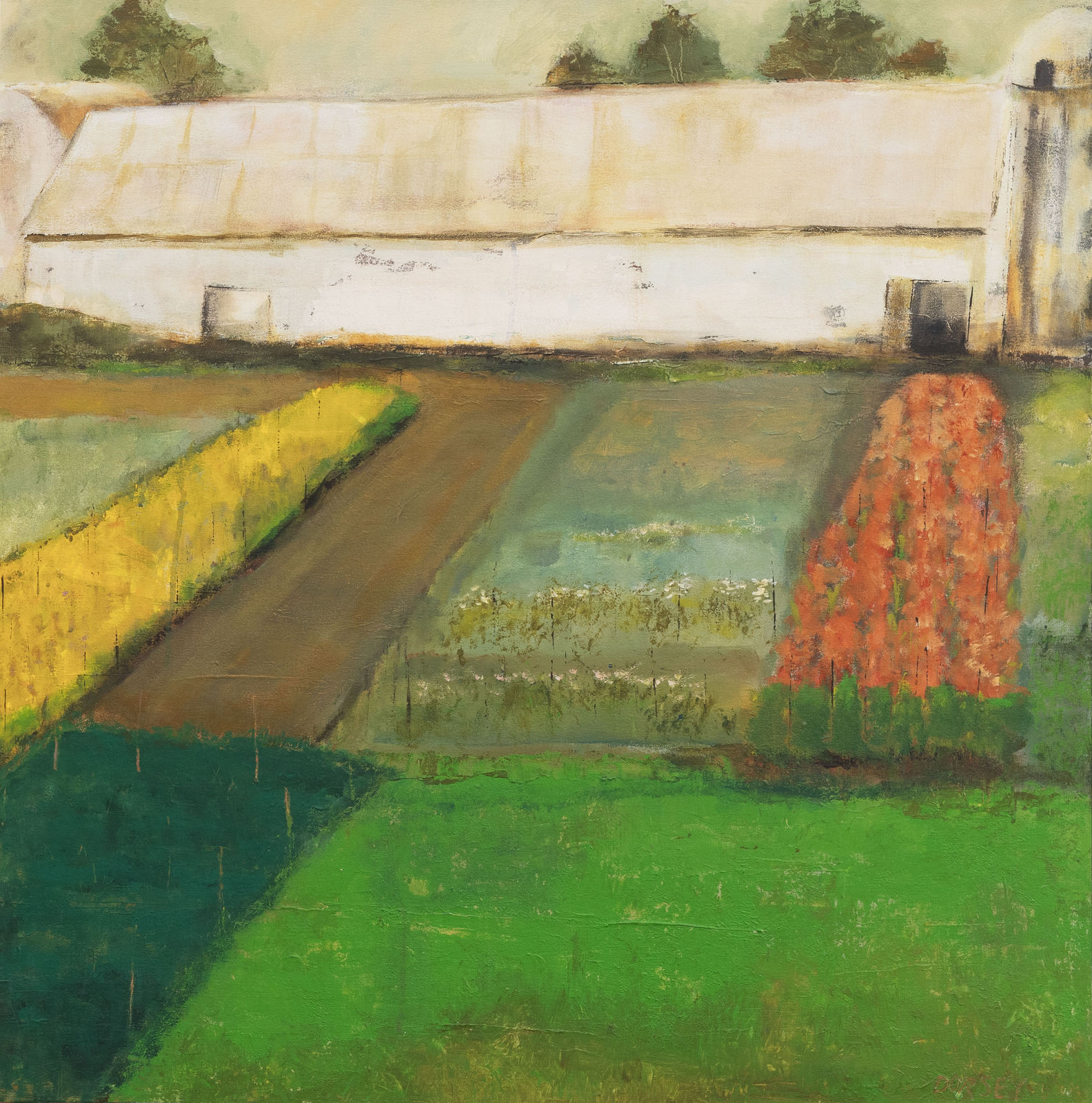 Torrie Dorsey, Farm