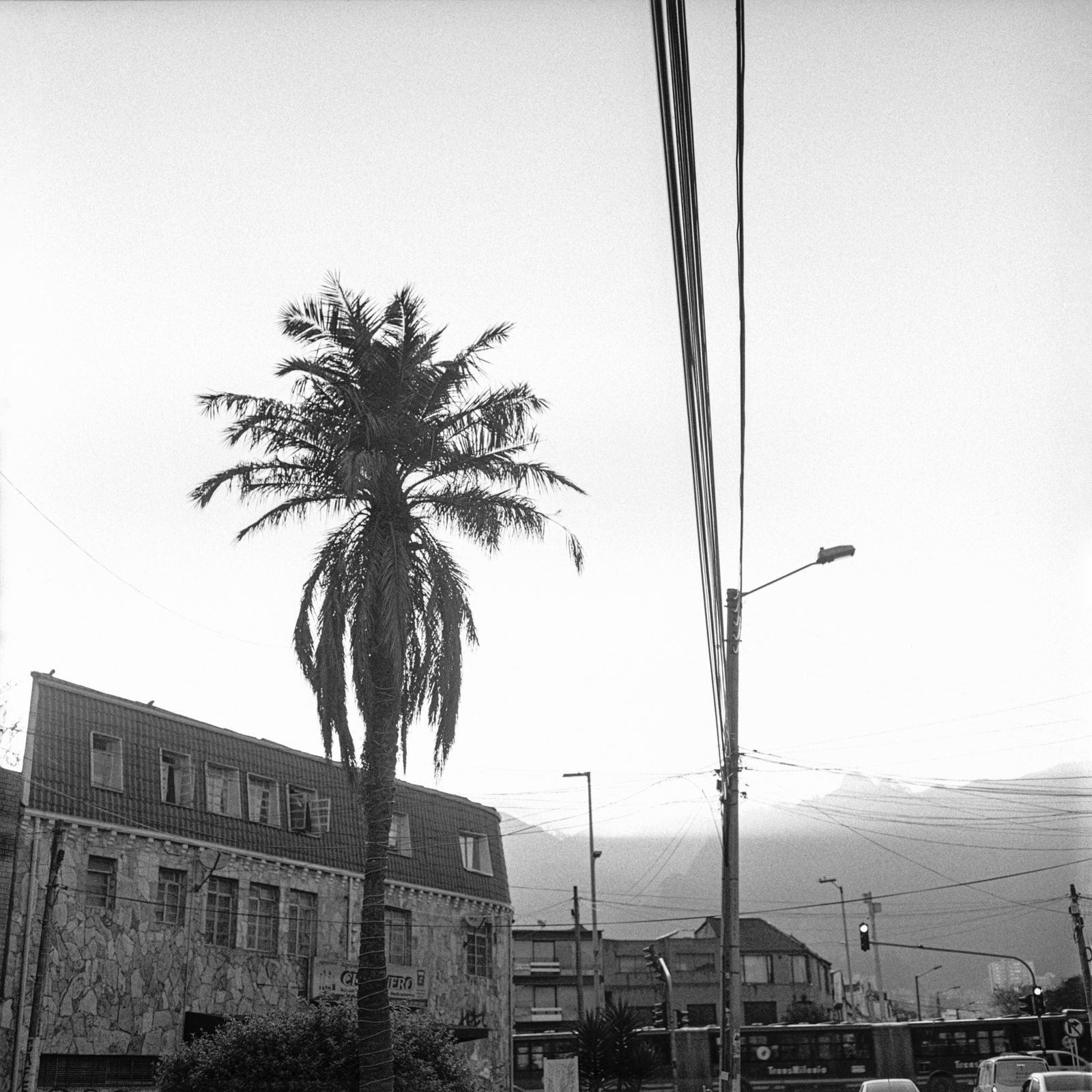 Beatriz Grau, La Caracas VI, 2023