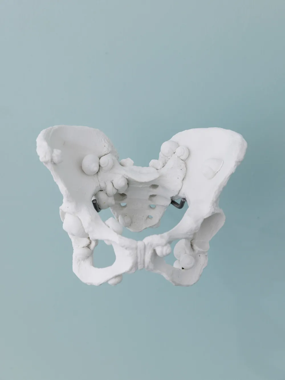 GHITA REMY, Bacinus Volutis, 2025