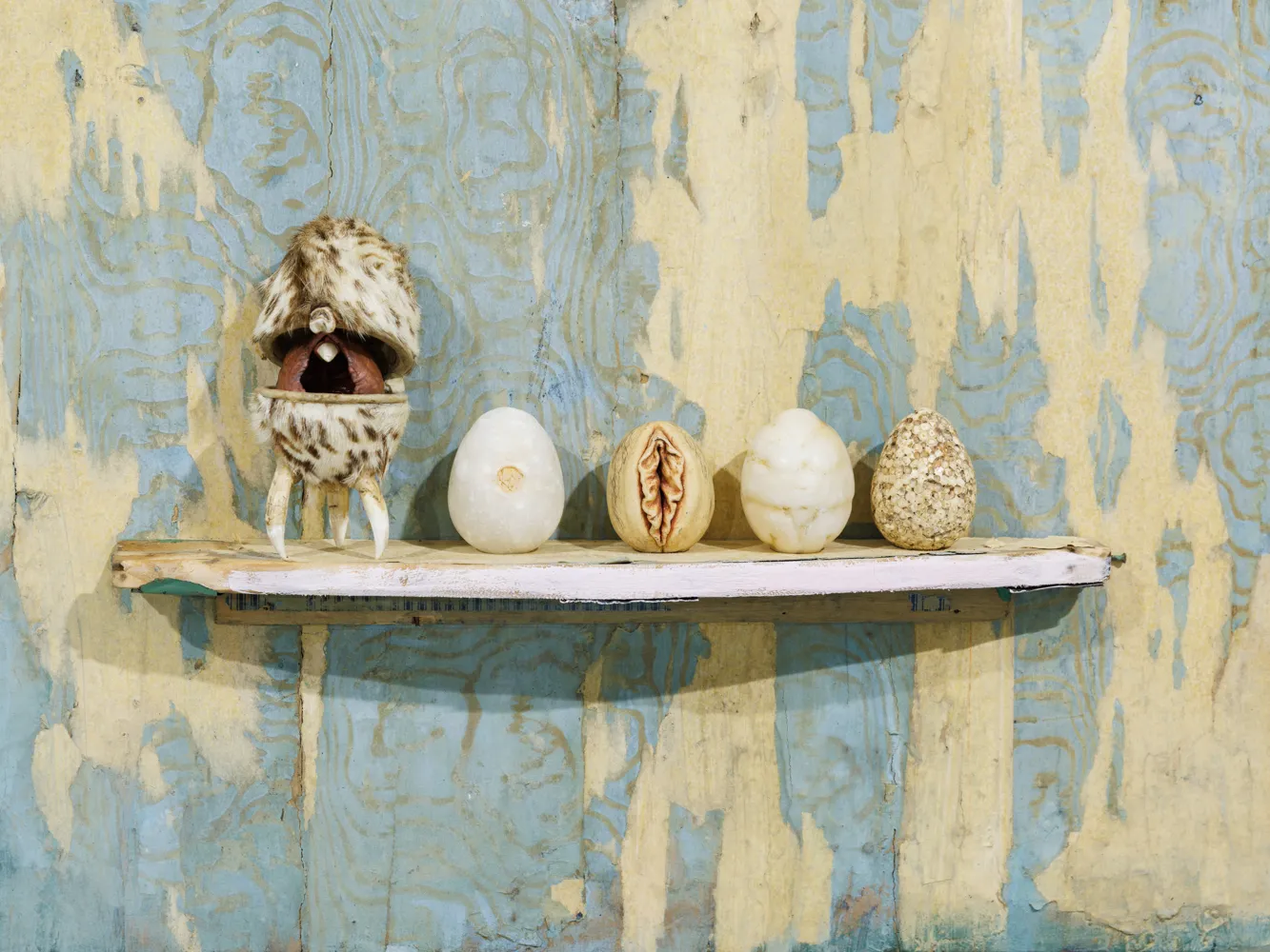 GHITA REMY, Arca Ovium, 2026