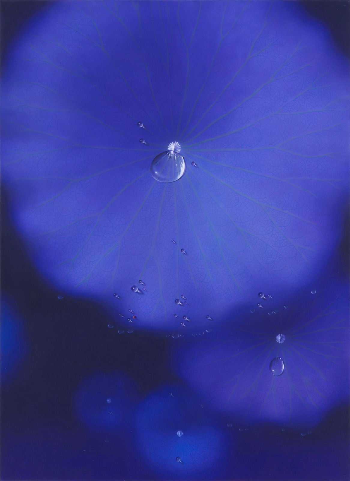 Nam Sang Woon, PURPLE MOON-R242, 2024