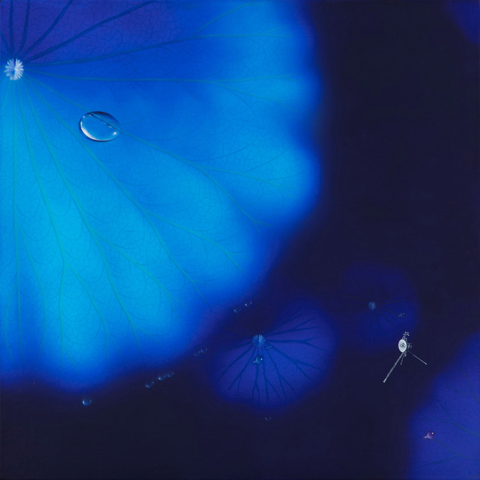 Nam Sang Woon, BLUE MOON-B230428, 2023