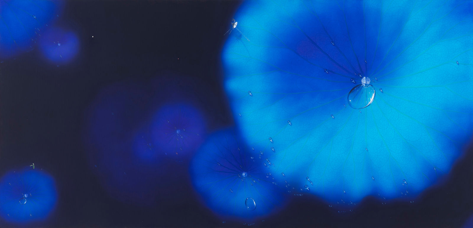 Nam Sang Woon, BLUE MOON-DR2311, 2023