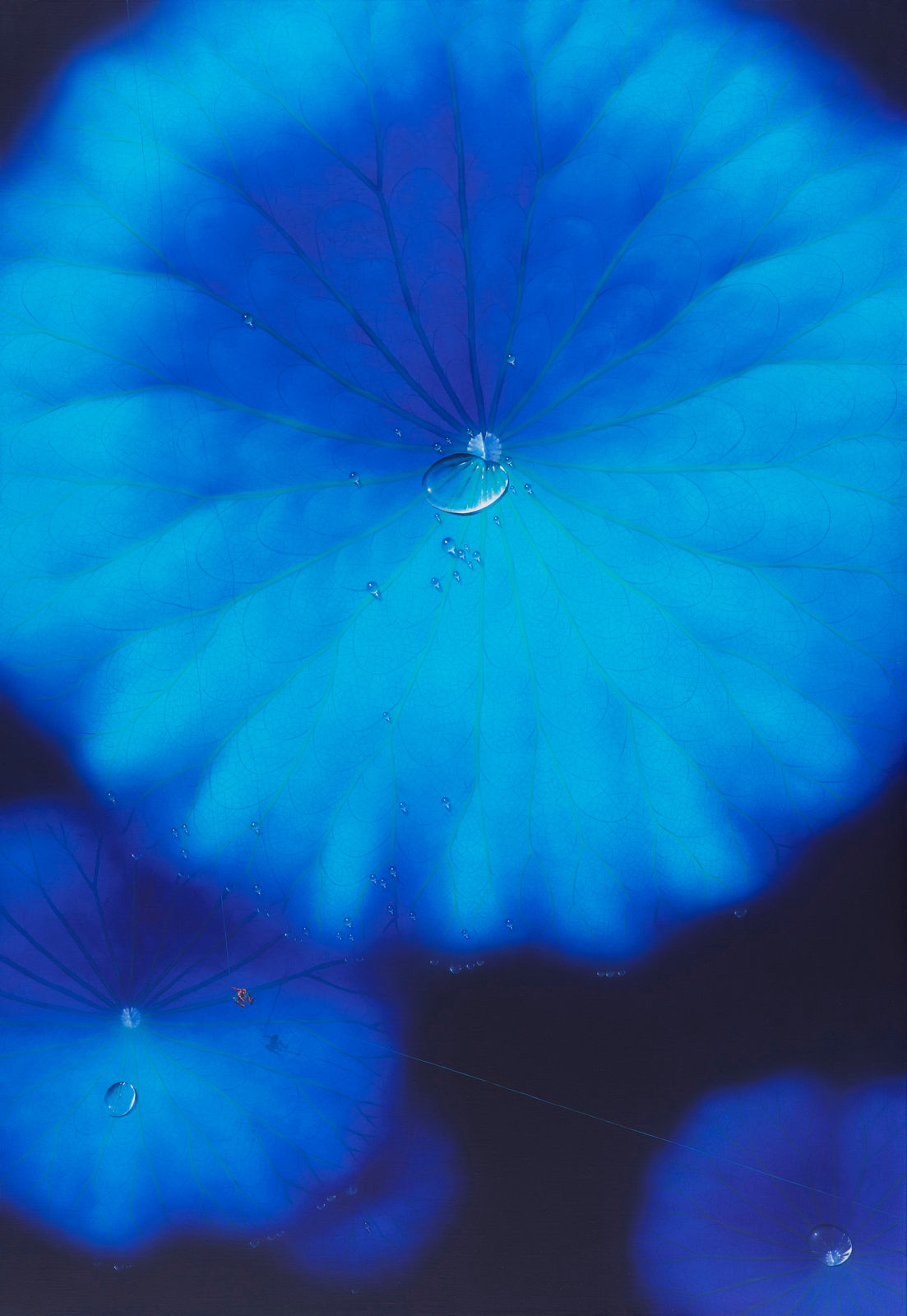 Nam Sang Woon, BLUE MOON_2304, 2023