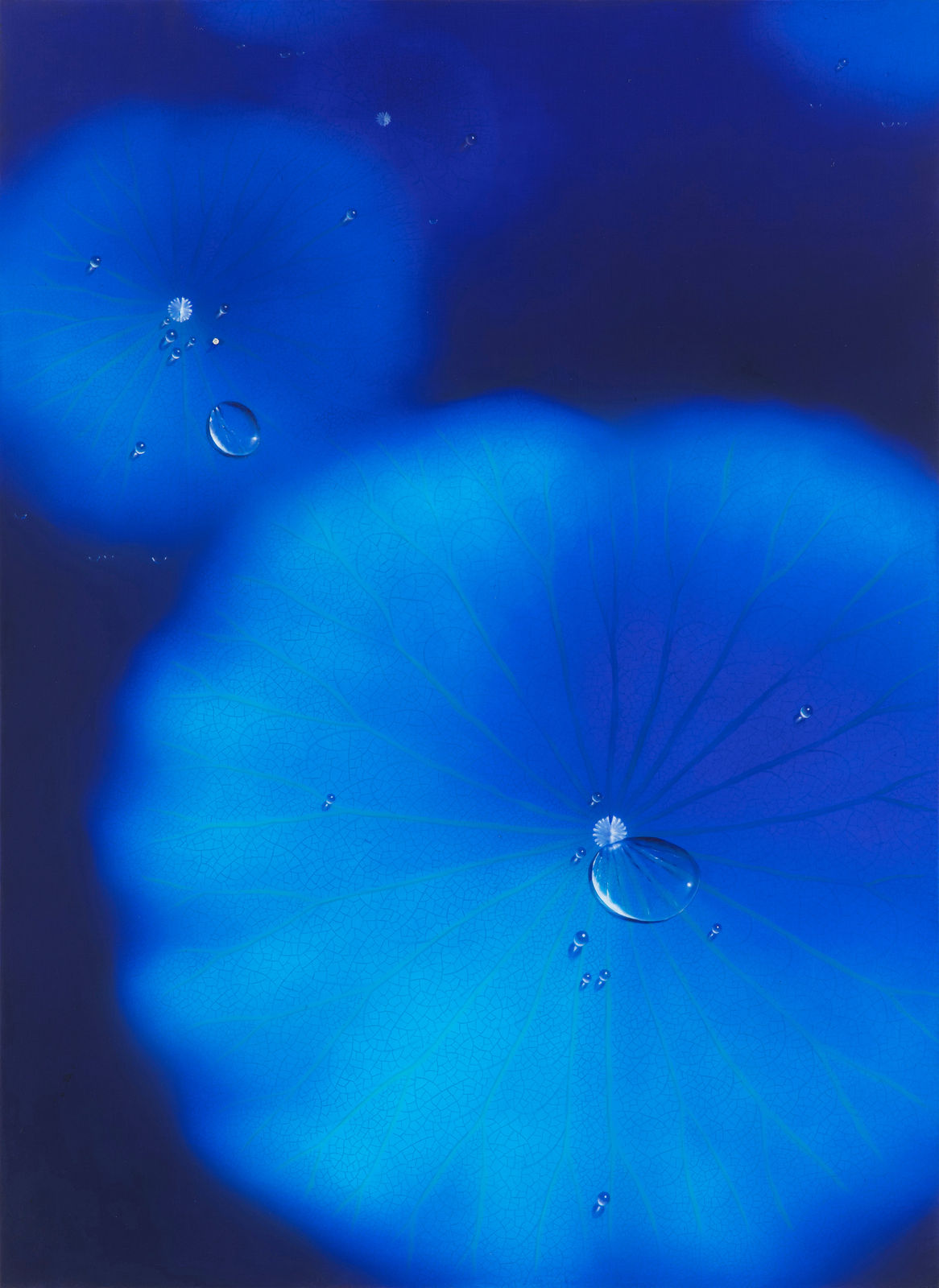 Nam Sang Woon, BLUE MOON-D241, 2024