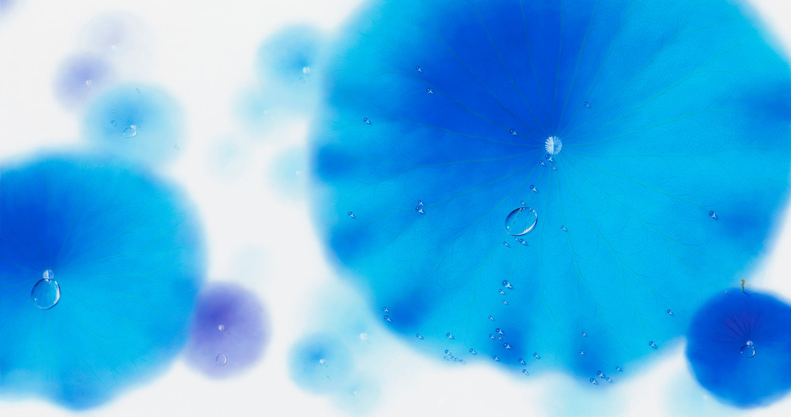 Nam Sang Woon, BLUE MOON-Lp228, 2024