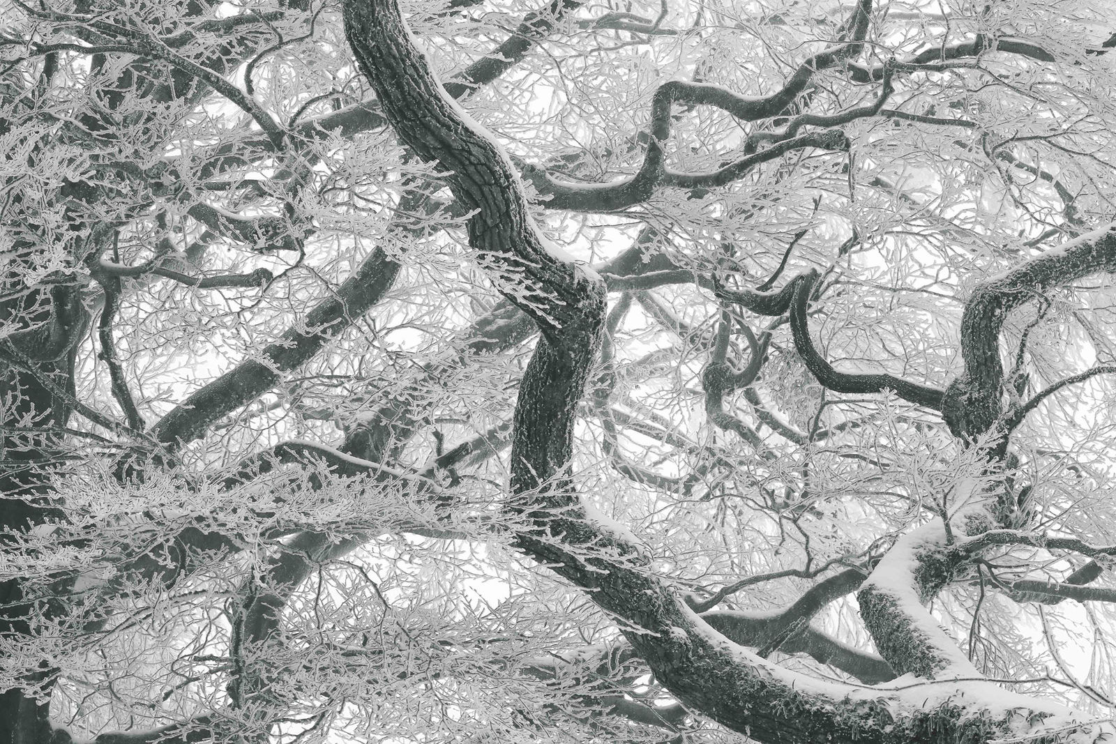 Tomohiro Muda, Mizu 28 (Water 28), 2012