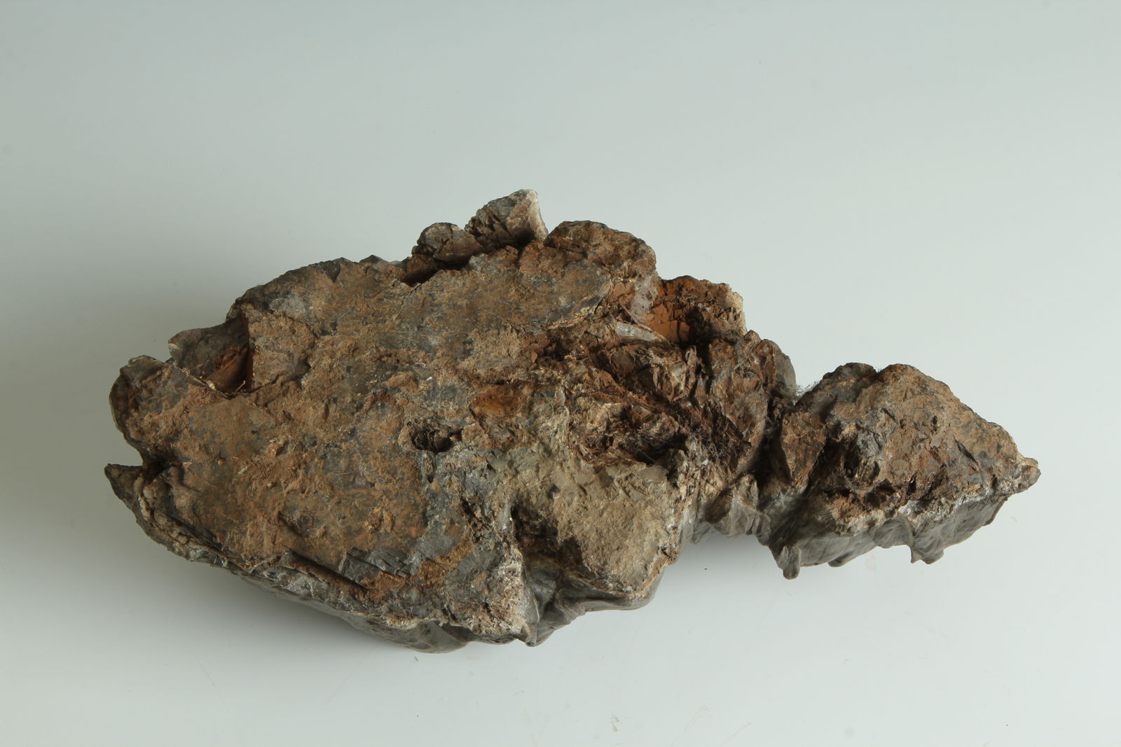 Scholar's Rock, Scholar's Rock, early 20th century, Japan