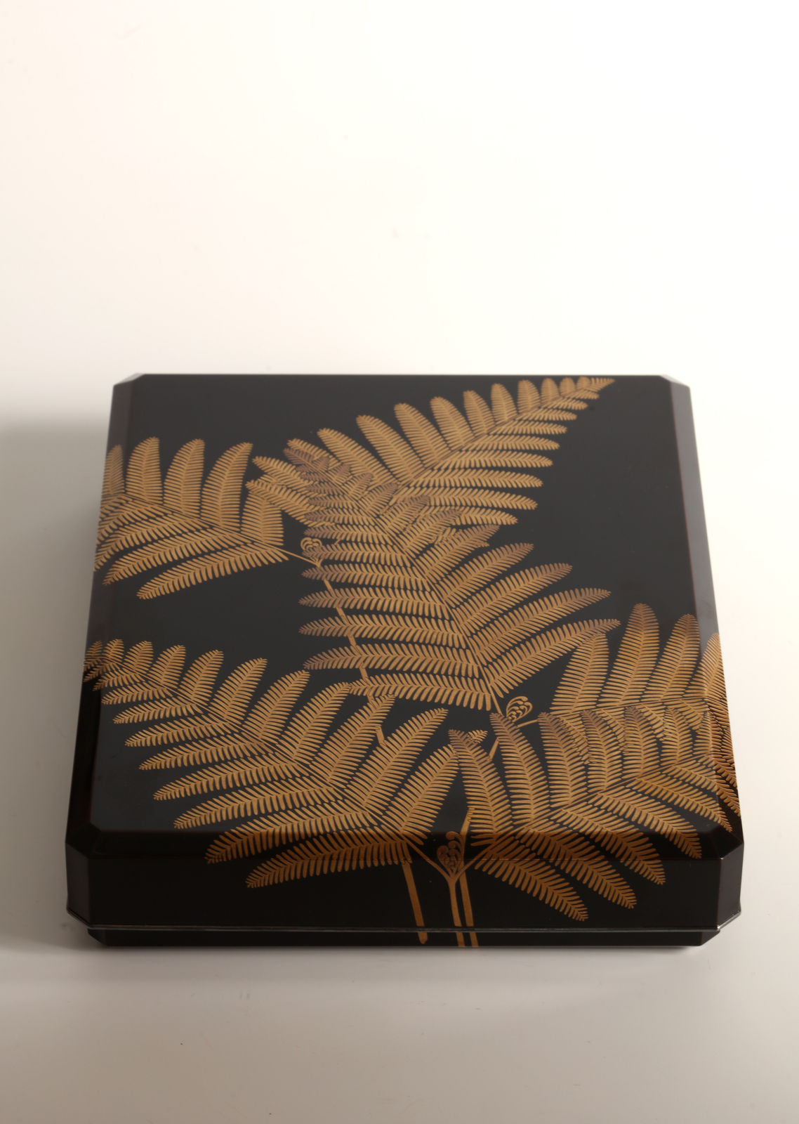 Miki Gyokushin II, Set of Paper Box, Box for Writing Utensils, and Box for Brushes with Design of Ferns, 1920s