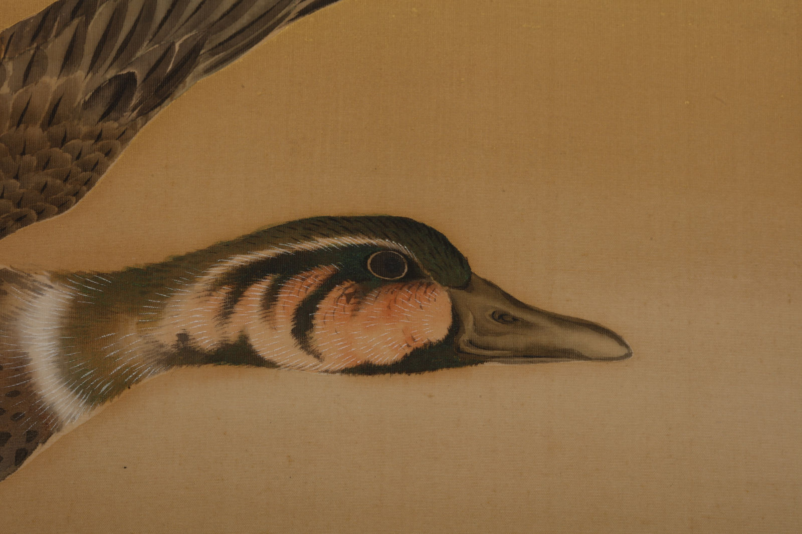 Mochizuki Gyokkei, Ducks, Pines, and Prunus in the Snow, 1900-1910