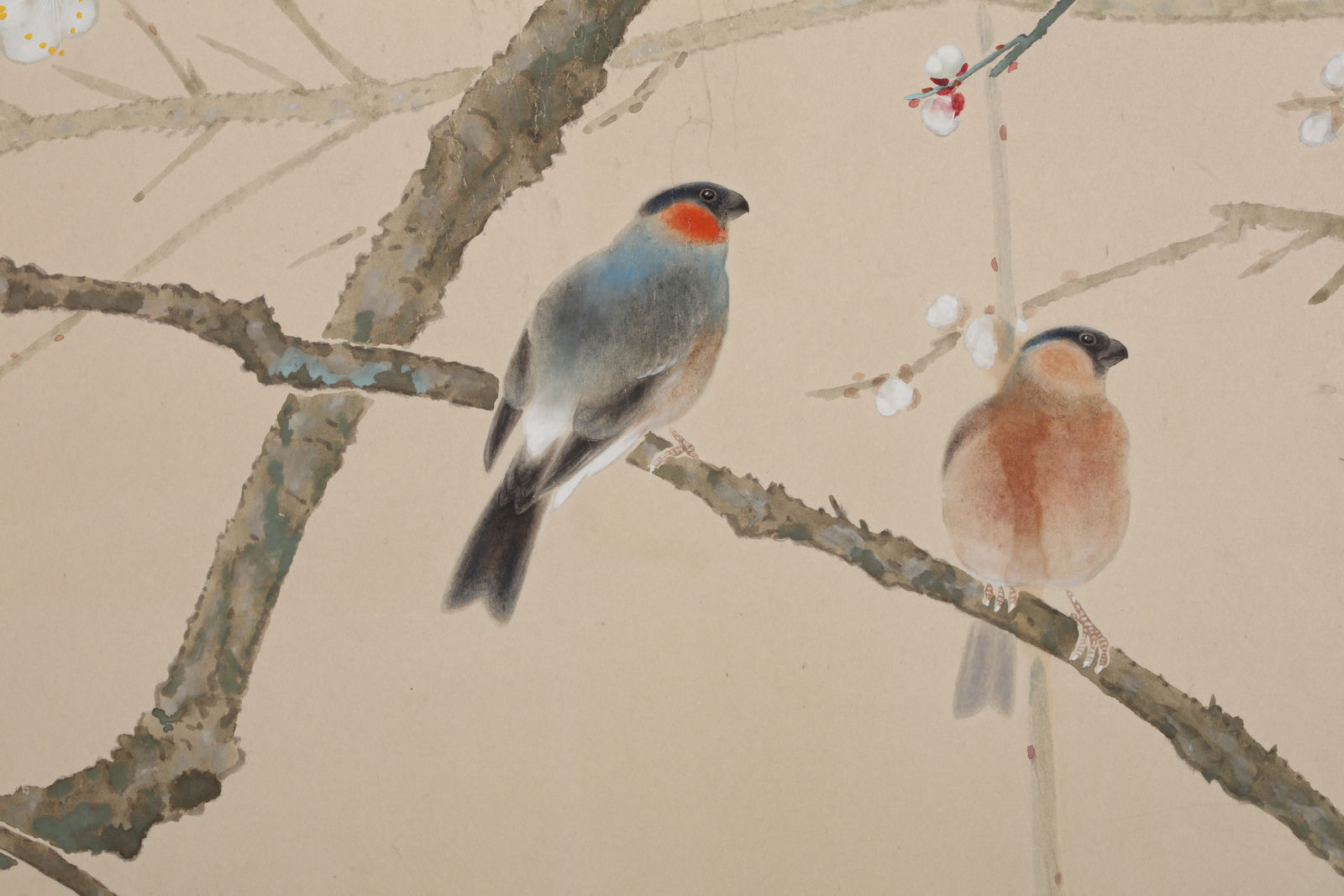 Shirayama Shunpō, Blooming Plum Trees and Birds, ca 1915