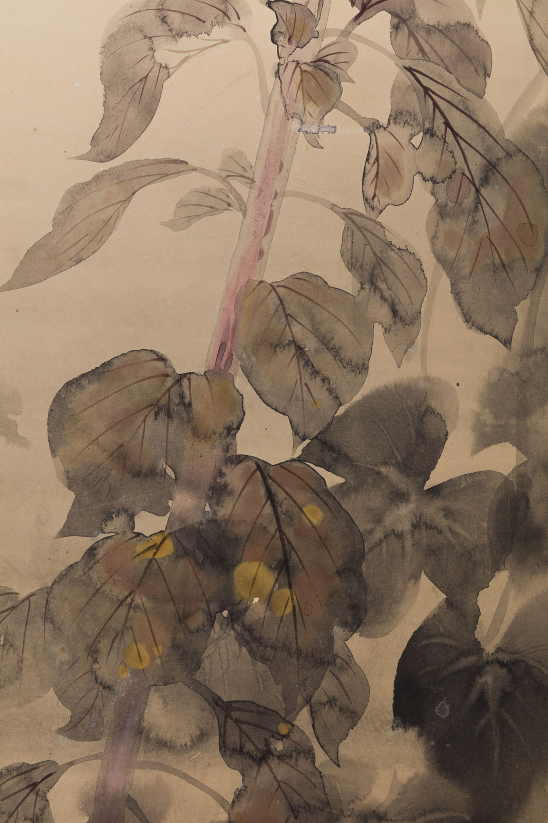 Takeda Koyō, Hollyhocks, Morning Glories, and “Maltese Cross”, ca 1925