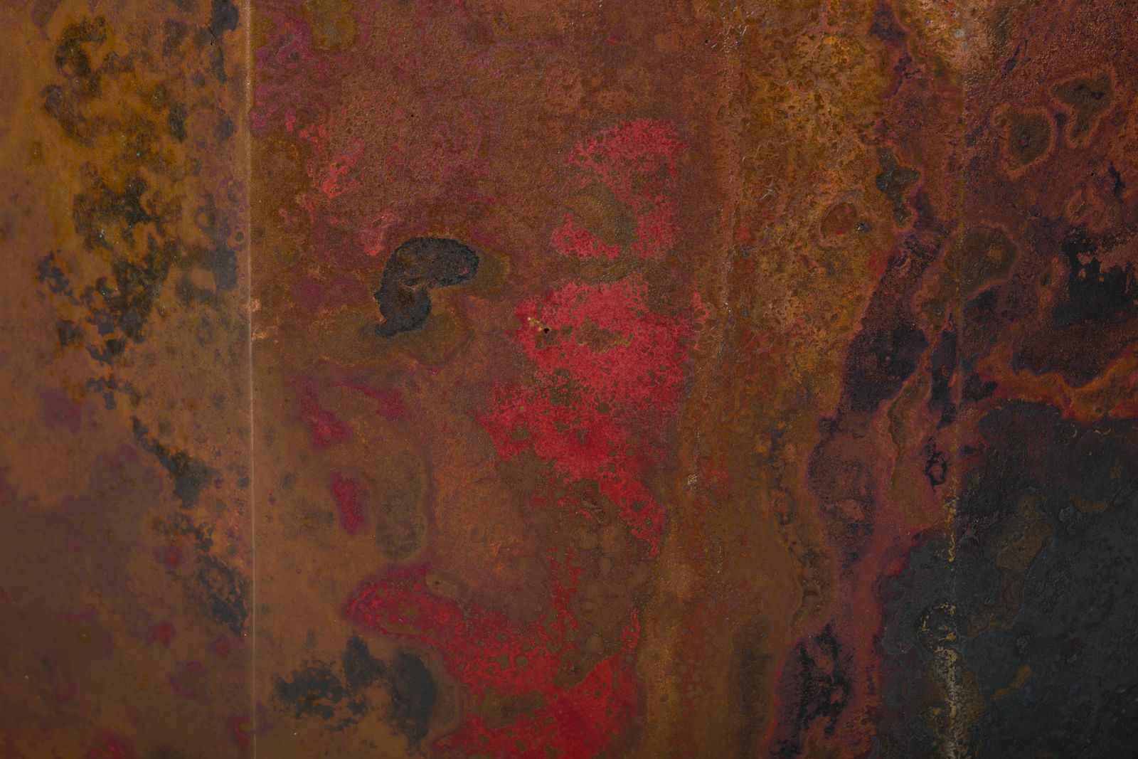 Koji Hatakeyama, Twelve Faces, 2025