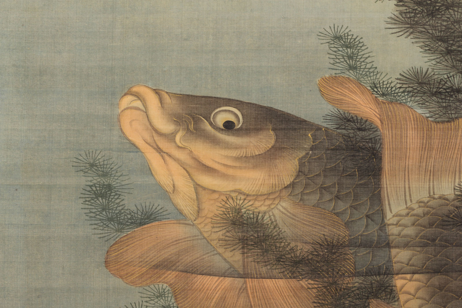 Sugawara Katsunaga (Shōei), Carp, ca 1850