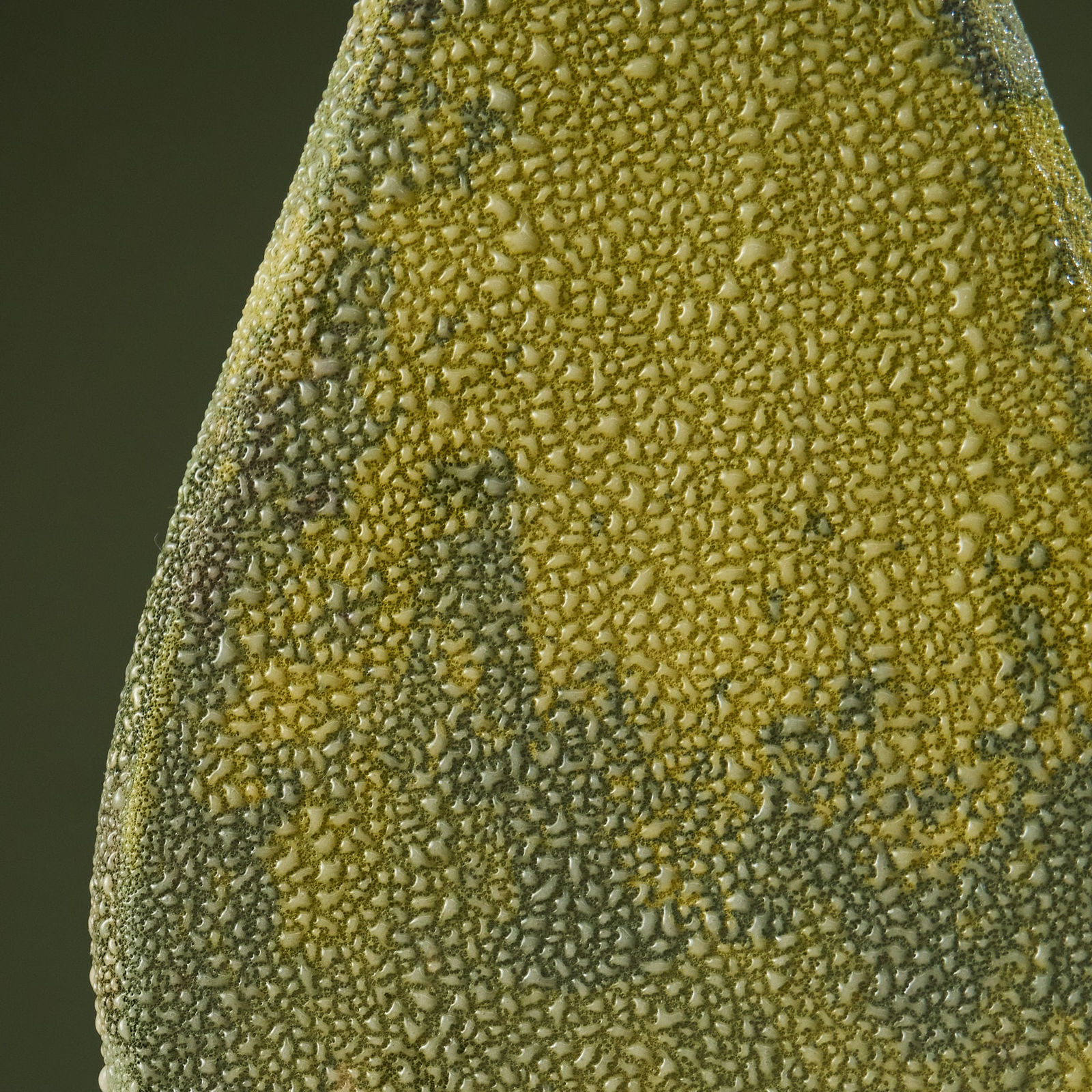 Eunsol Kim, 'Condensation' Series C3, Glazed Ceramic Sculpture in Green, The Netherlands, 2025