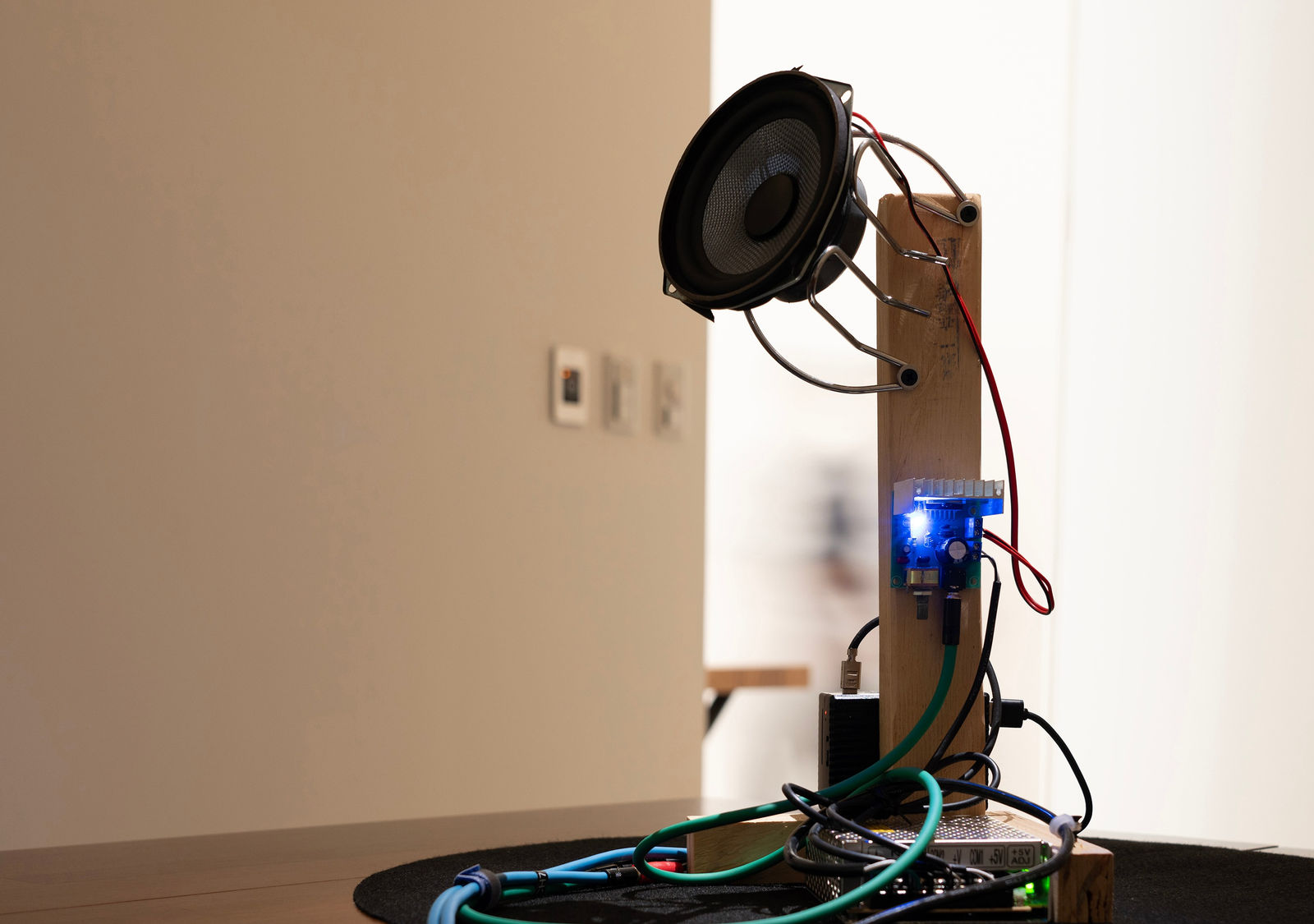 鄭先喻 HsienYu CHENG, Annoyanony, 2022