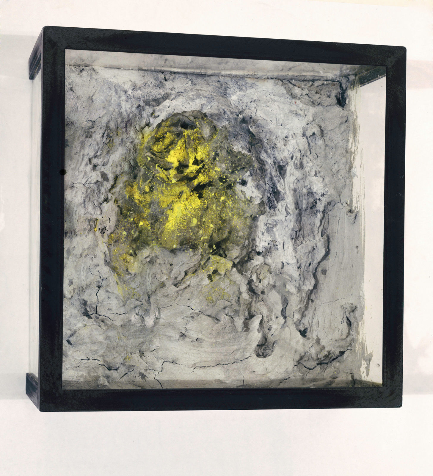 司徒強 SZETO Keung, 舍利 3 Sacred Relics 3, 2009